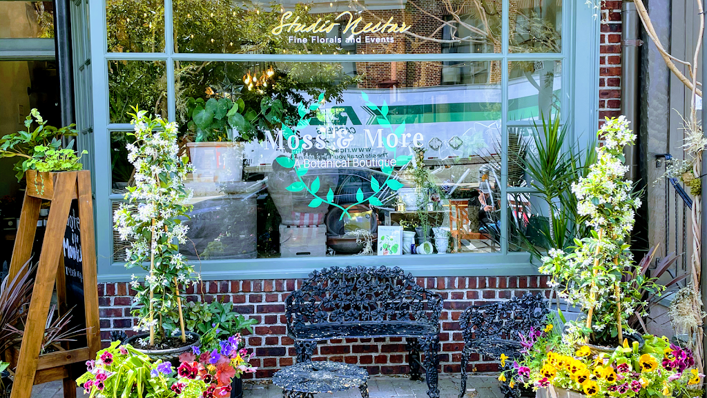 Moss & More | 42 Upper Montclair Plaza, Montclair, NJ 07043 | Phone: (973) 744-0189