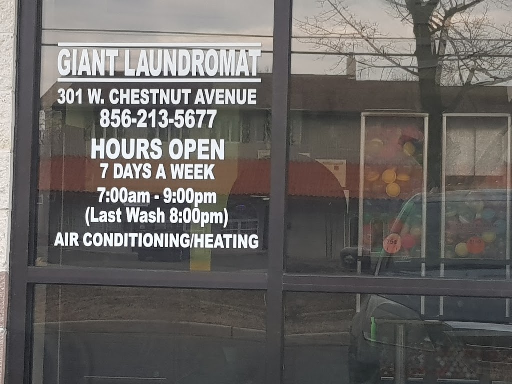 Giant Laundry | 301 W Chestnut Ave, Vineland, NJ 08360 | Phone: (856) 213-5677