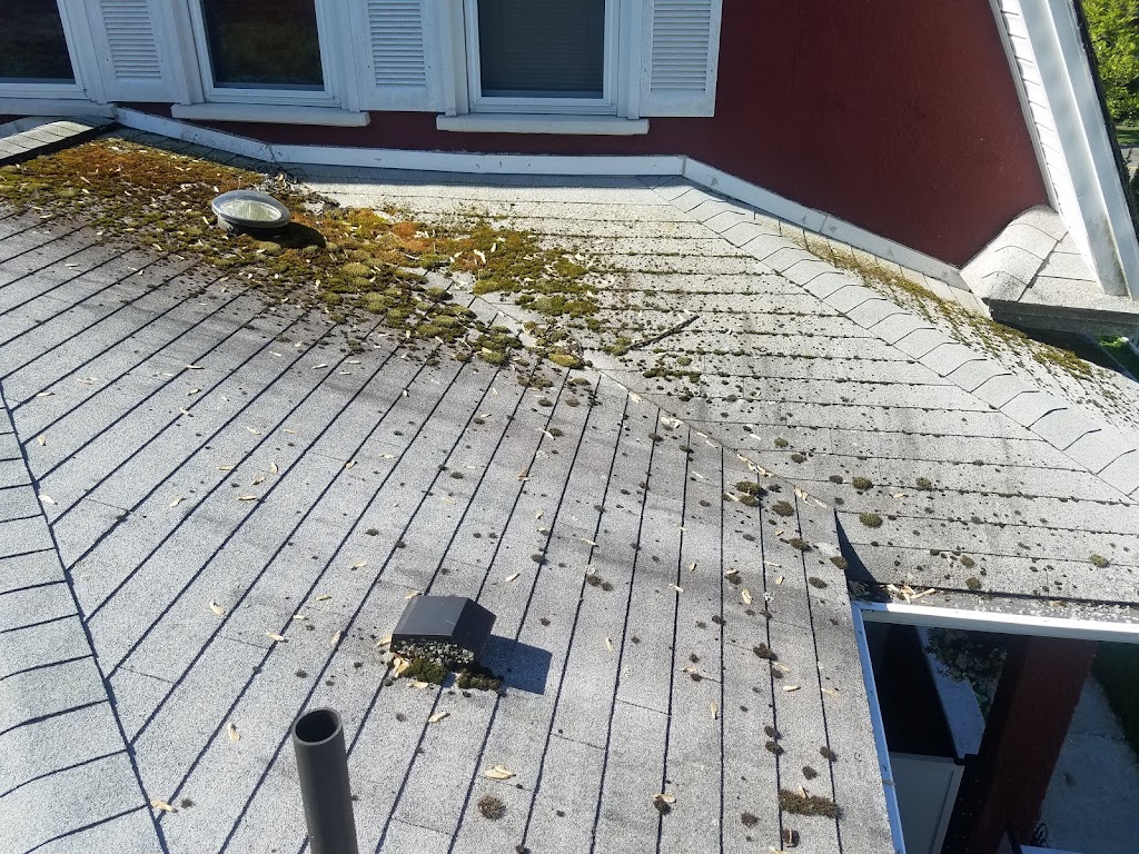 Superior Roof Cleaning | 25 Franklin St, Easthampton, MA 01027 | Phone: (413) 387-3361