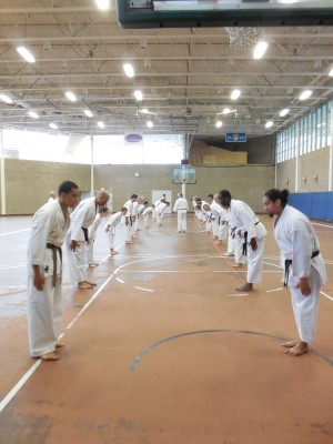 Amherst Shotokan Karate Dojo | 1046 S East St, Amherst, MA 01002 | Phone: (413) 835-1222