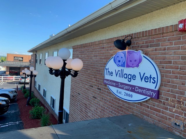 The Village Vets | 699 W Germantown Pike, Plymouth Meeting, PA 19462 | Phone: (484) 820-1700