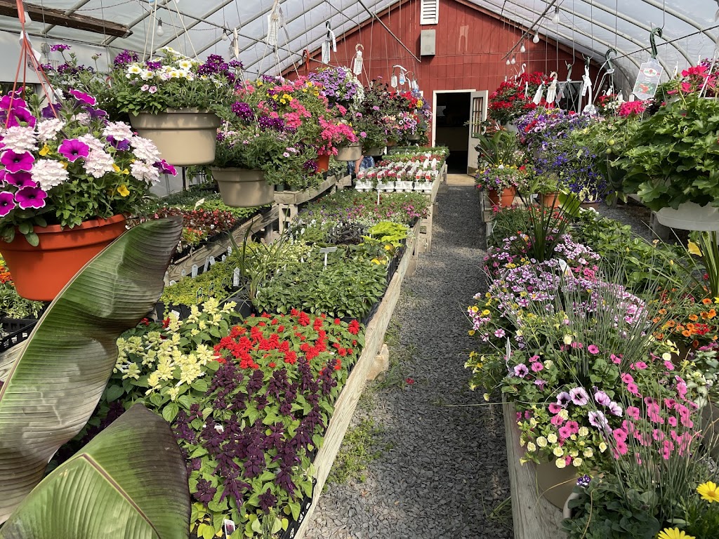 Briands Garden Center | 1826 US-206, Southampton Township, NJ 08088 | Phone: (609) 859-3879