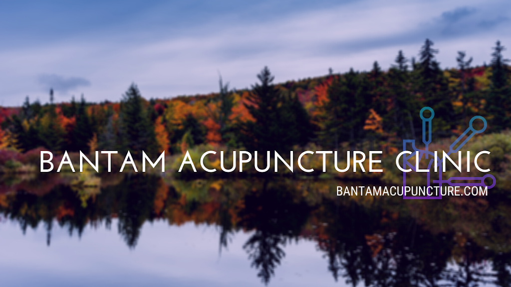 Bantam Acupuncture Clinic | 624 Bantam Rd, Bantam, CT 06750 | Phone: (860) 300-8551