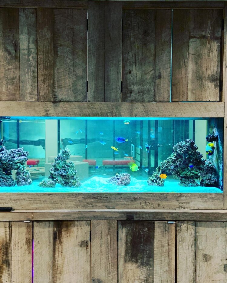 Tank Me Later Aquarium & Pond Services | 104 Bellerose Ave, East Northport, NY 11731 | Phone: (516) 404-9721