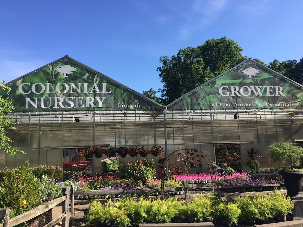 Colonial Nursery | 1124 W Front St, Lincroft, NJ 07738 | Phone: (732) 530-3838