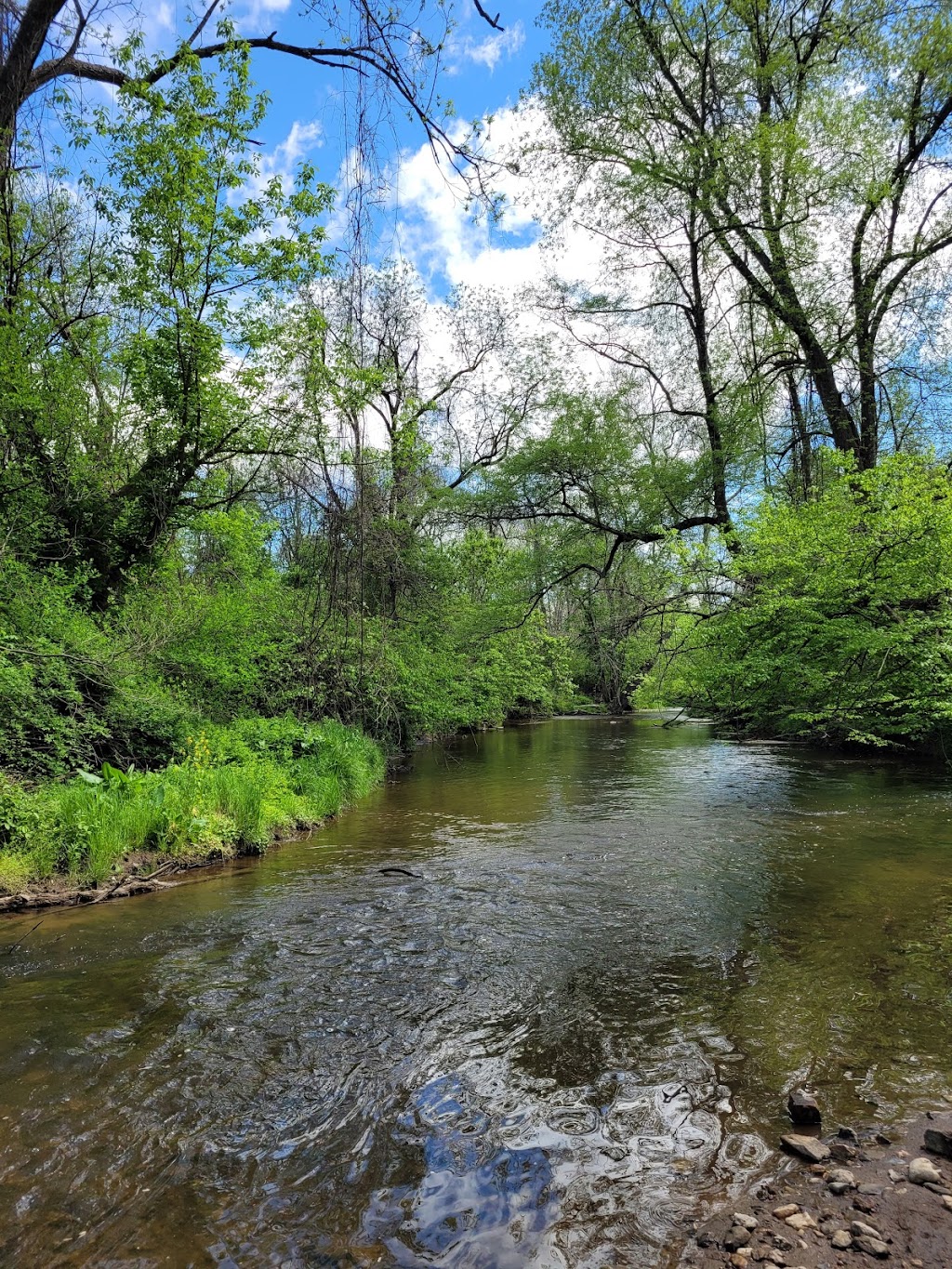 Natural Lands Binky Lee Preserve | 1445 Pikeland Rd, Chester Springs, PA 19425 | Phone: (610) 353-5587