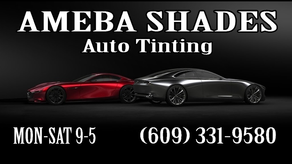 Ameba Shades Auto Tinting | 703 Van Rossum Ave Unit 1B, Edgewater Park, NJ 08010 | Phone: (609) 331-9580