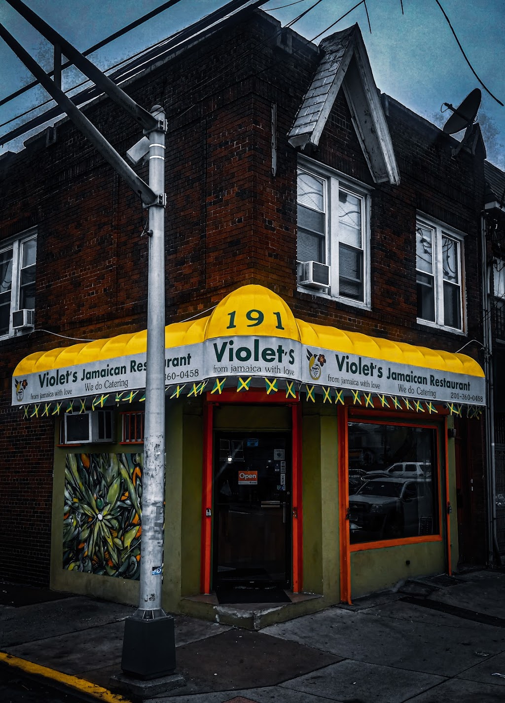 Violets From Jamaica with Love | 191 Mallory Ave, Jersey City, NJ 07304 | Phone: (201) 360-0458