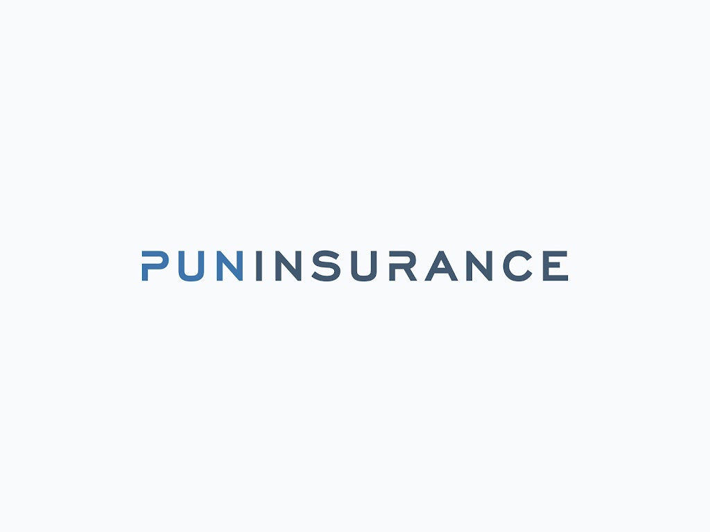Pun Insurance | 256A Main St S, Woodbury, CT 06798 | Phone: (203) 510-5430