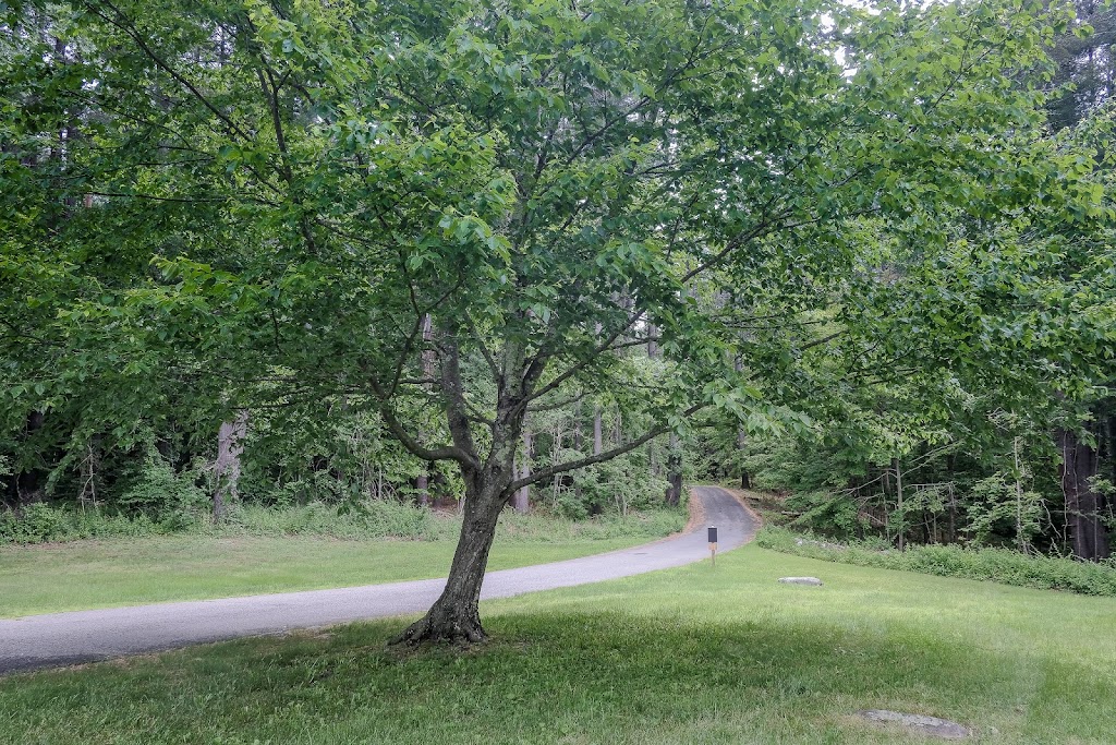 Housatonic Meadows State Park - Picnic Area | Cornwall, CT 06753 | Phone: (860) 672-6772
