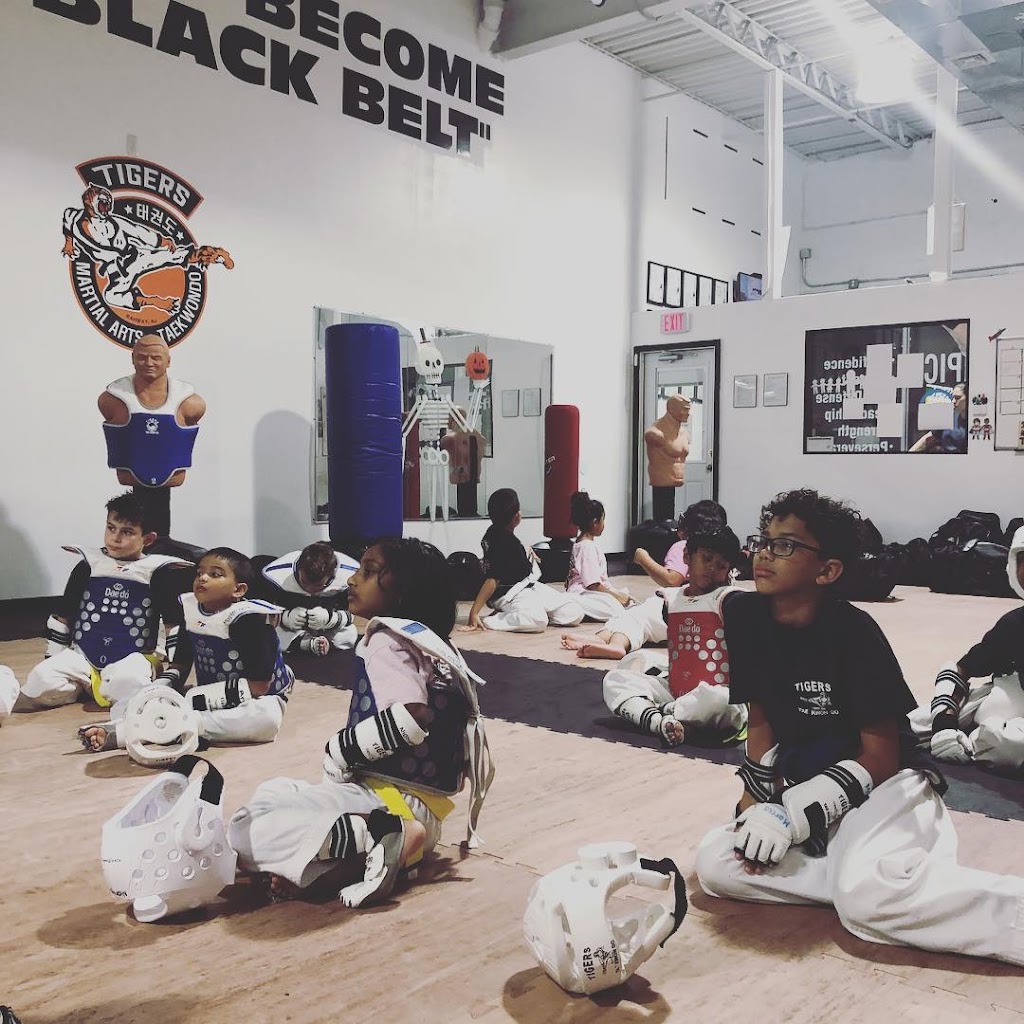 Tigers Martial Arts Academy - TMAA | 385 St Georges Ave # B, Rahway, NJ 07065 | Phone: (732) 381-1933