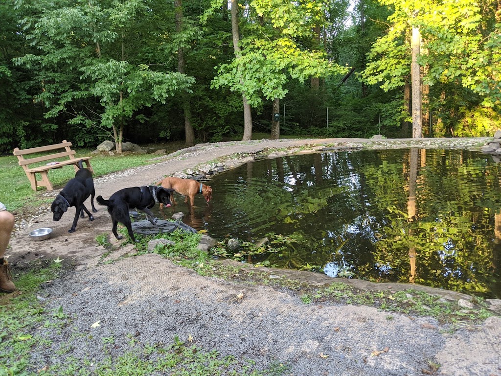 Rocky Top Dog Park | 3806-4118 NJ-27, Princeton, NJ 08540 | Phone: (732) 329-4000 ext. 7671