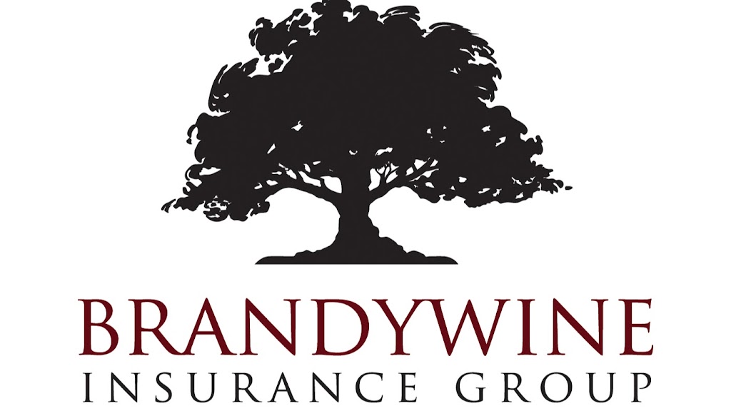 Brandywine Insurance Group LLC | 127 Commons Ct, Chadds Ford, PA 19317 | Phone: (610) 995-6779