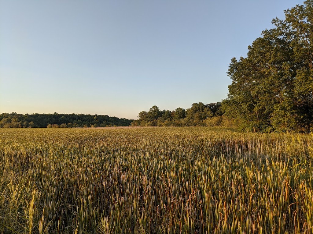 Troy Meadows Wetlands | Parsippany, NJ 07054 | Phone: (973) 887-0096