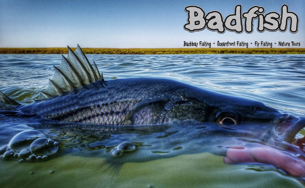 Badfish Fishing Charters | 680 Bay Ave, Somers Point, NJ 08244 | Phone: (856) 371-4346