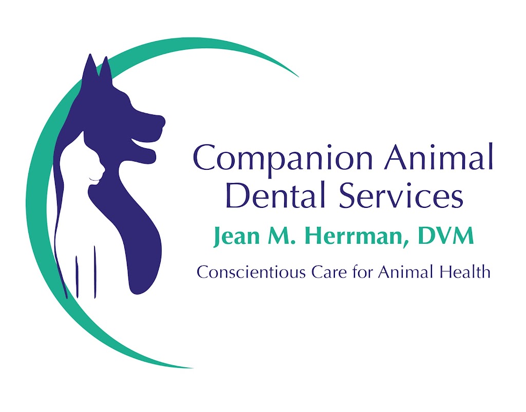 Companion Animal Dental Services | 1159 Boston Turnpike, Bolton, CT 06043 | Phone: (860) 512-0212