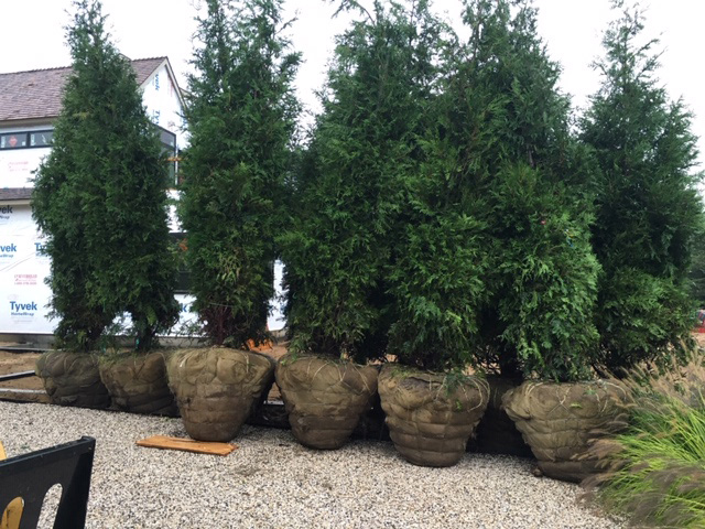MICCIMANNI Landscaping Corp | 759 N Sea Rd, Southampton, NY 11968 | Phone: (631) 276-2863