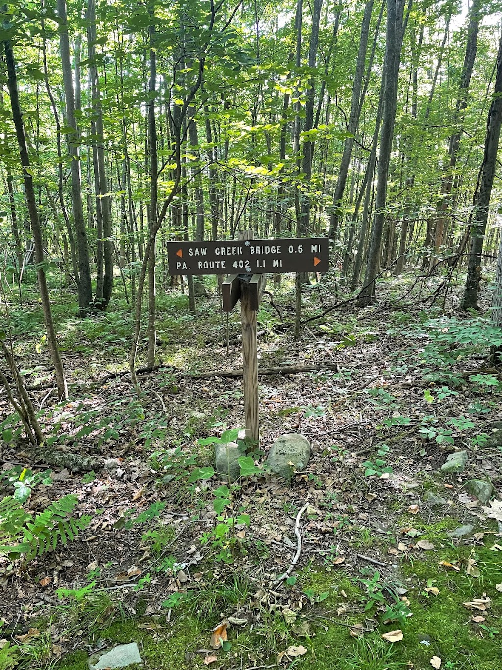Thunder Swamp Trail Junction | PA-402, East Stroudsburg, PA 18302 | Phone: (570) 895-4000