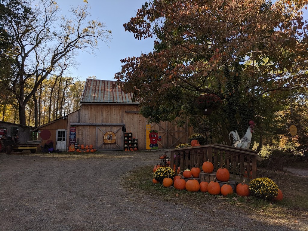 Indian Orchards Farm | 29 Copes Ln, Media, PA 19063 | Phone: (610) 888-6969