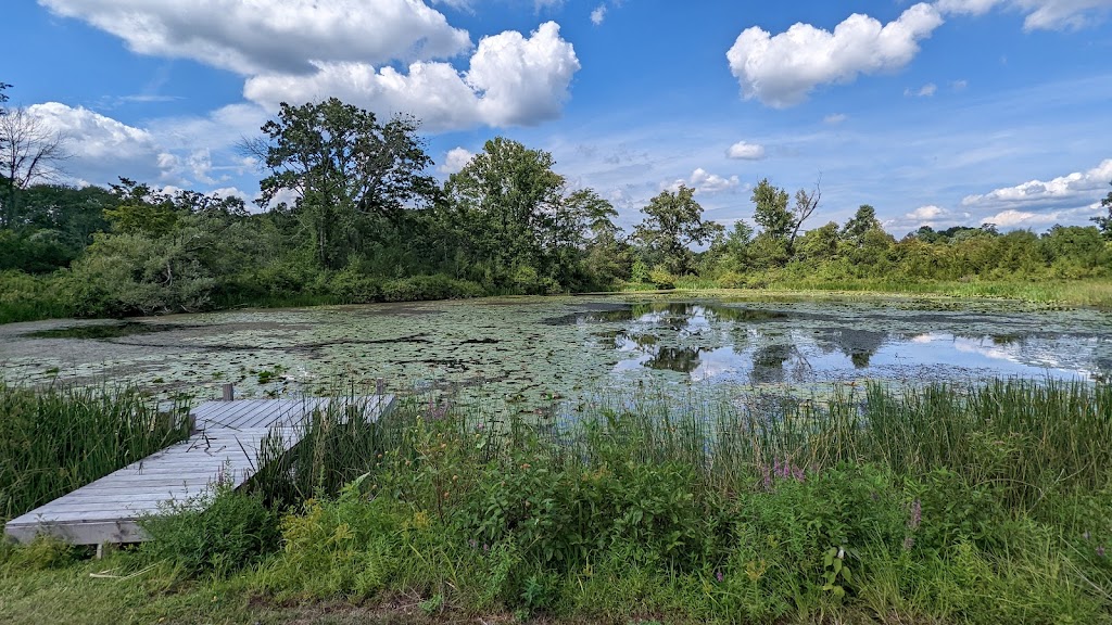 Hudson Highlands Nature Museum | 120 Muser Dr, Cornwall, NY 12518 | Phone: (845) 534-5506