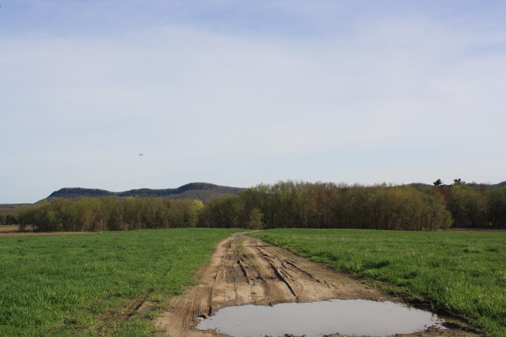 UMass Equine and Livestock Research and Education Farm | 111 N Maple St, Hadley, MA 01035 | Phone: (413) 549-3253