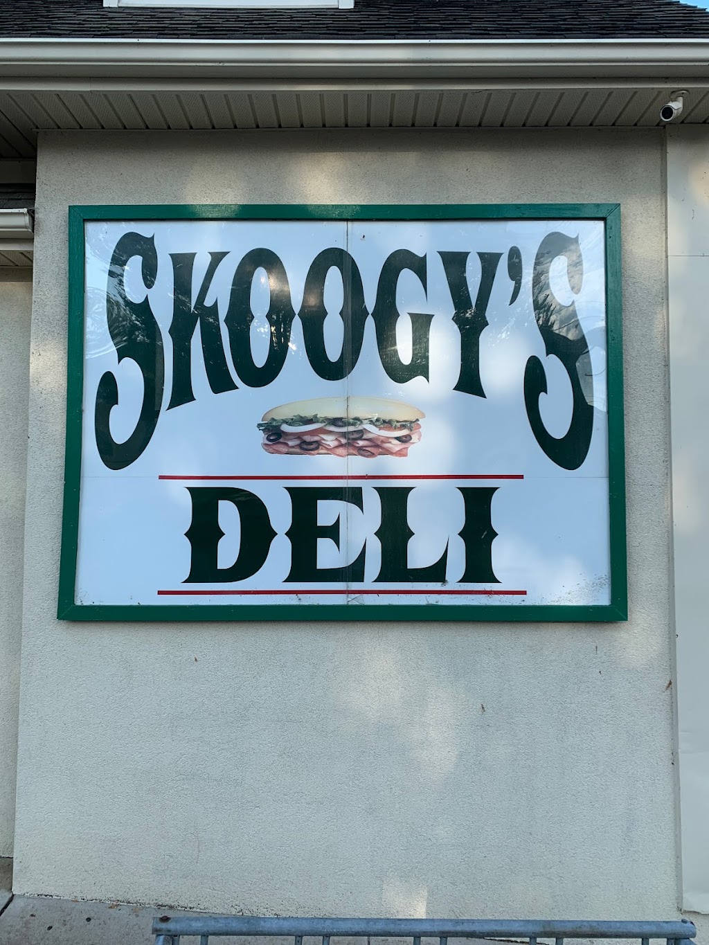 Skoogys Deli | 110 Greenwich St, Belvidere, NJ 07823 | Phone: (908) 475-8998