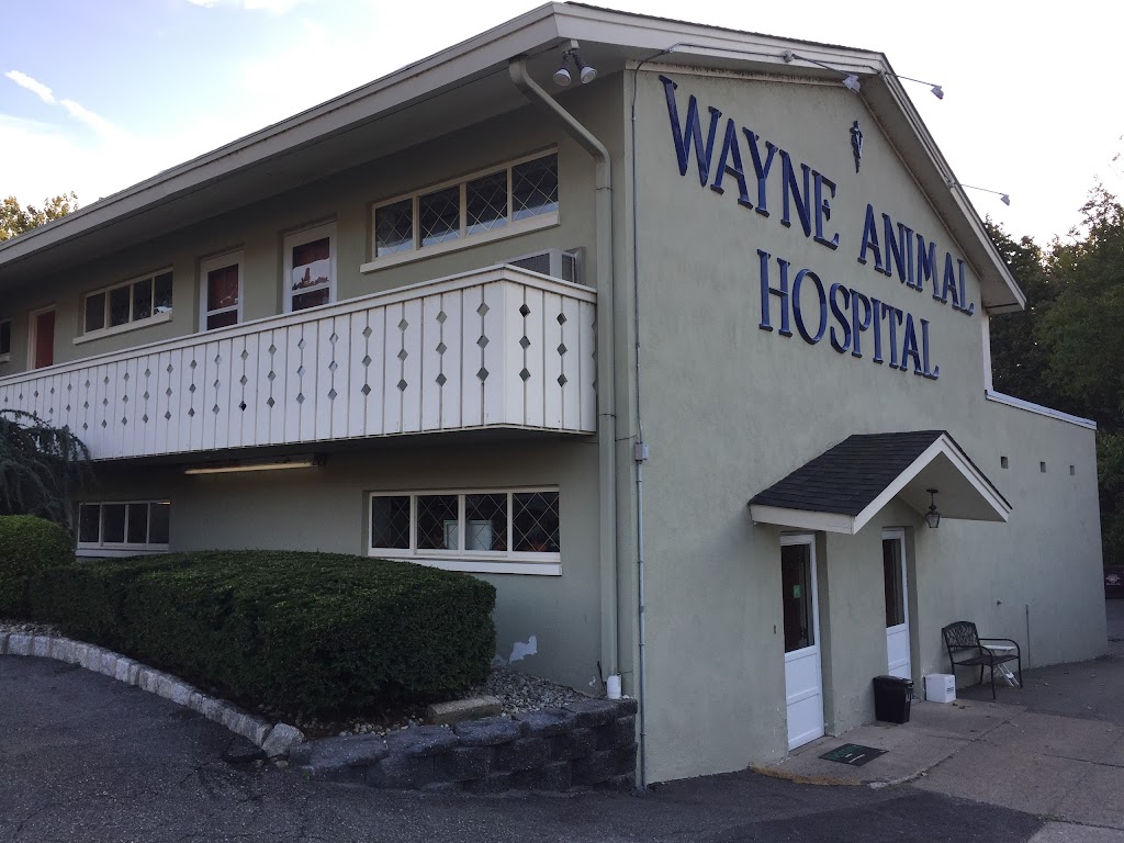 Wayne Animal Hospital | 2411 Hamburg Turnpike, Wayne, NJ 07470 | Phone: (973) 839-3737
