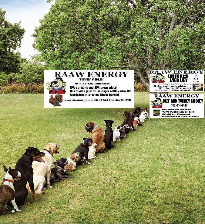 Raaw Energy Dog Food Raw Dog Food | 967 Adelphia-Farmingdale Rd, Adelphia, NJ 07731 | Phone: (732) 414-1446