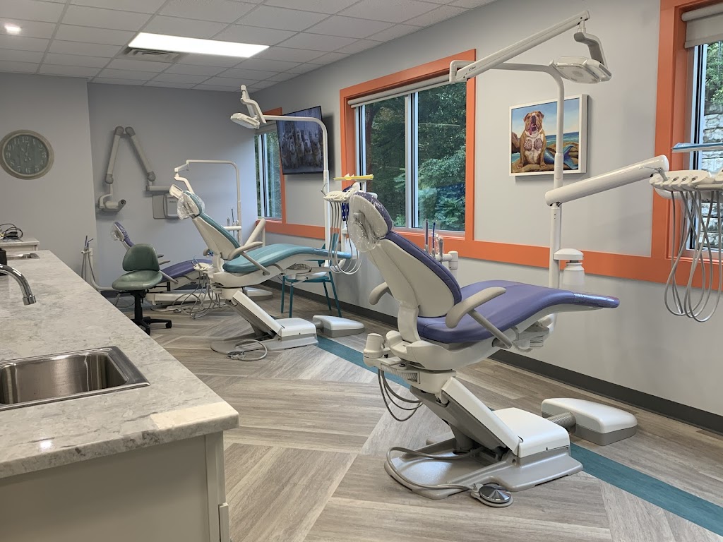 River Road Pediatric Dentistry | 865 River Rd Suite 200, Shelton, CT 06484 | Phone: (203) 538-5001