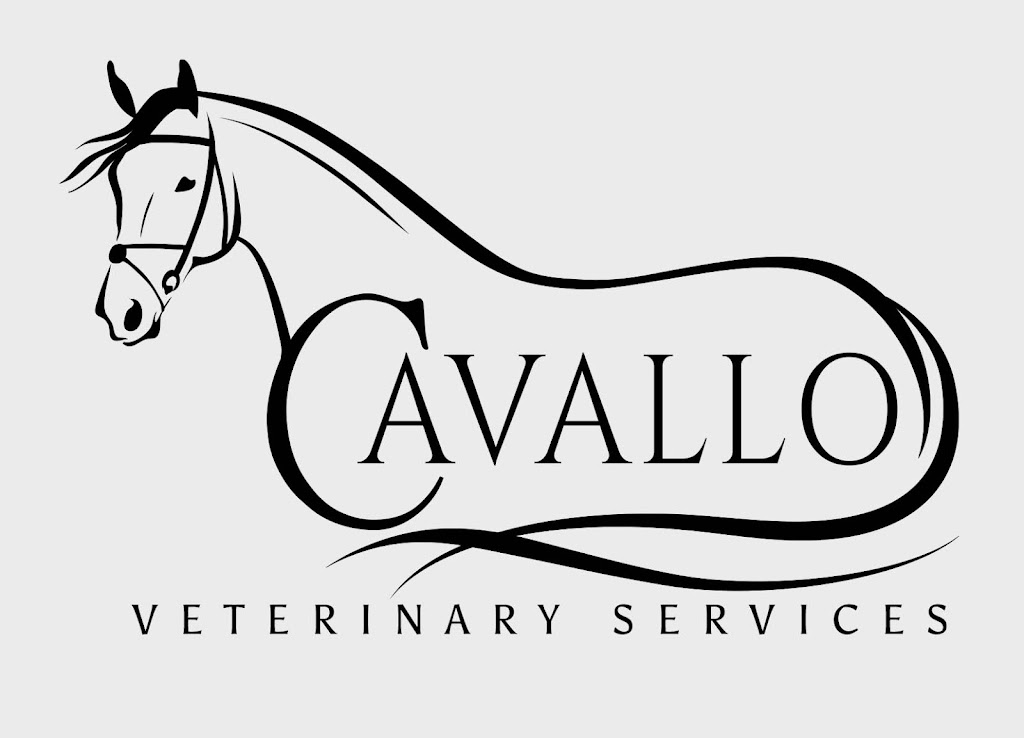 Cavallo Veterinary Services - Andrea Sotela, DVM | 4352 NY-9G, Red Hook, NY 12571 | Phone: (845) 489-6532