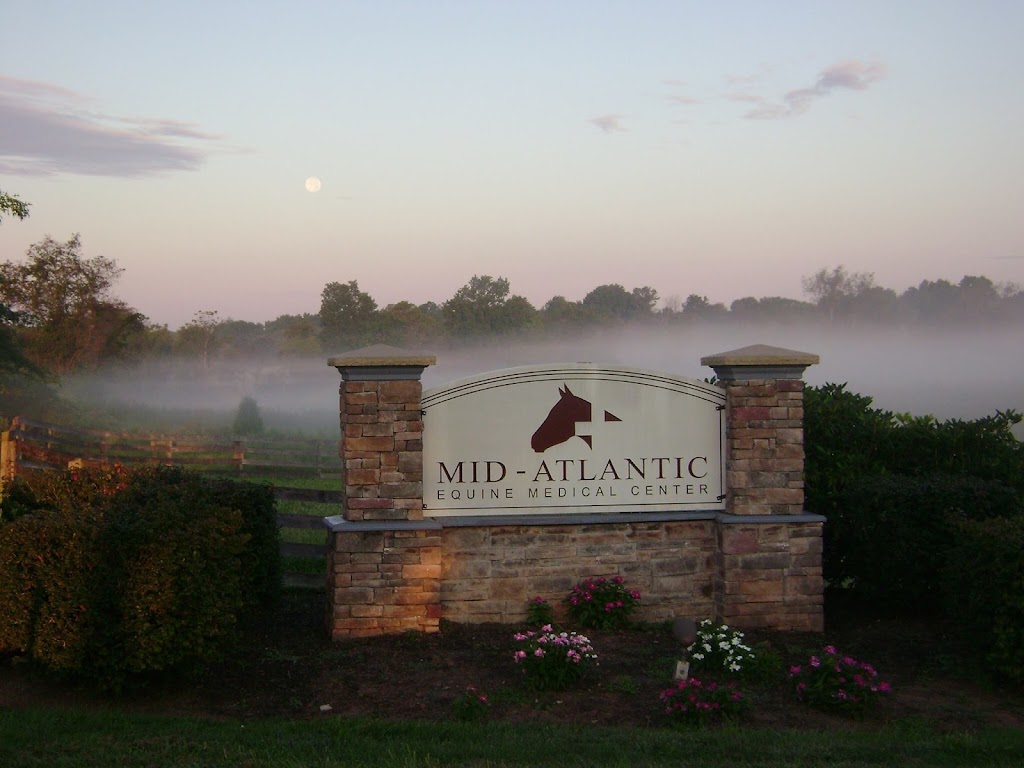 Mid-Atlantic Equine Medical Center | 40 Frontage Rd, Ringoes, NJ 08551 | Phone: (609) 397-0078