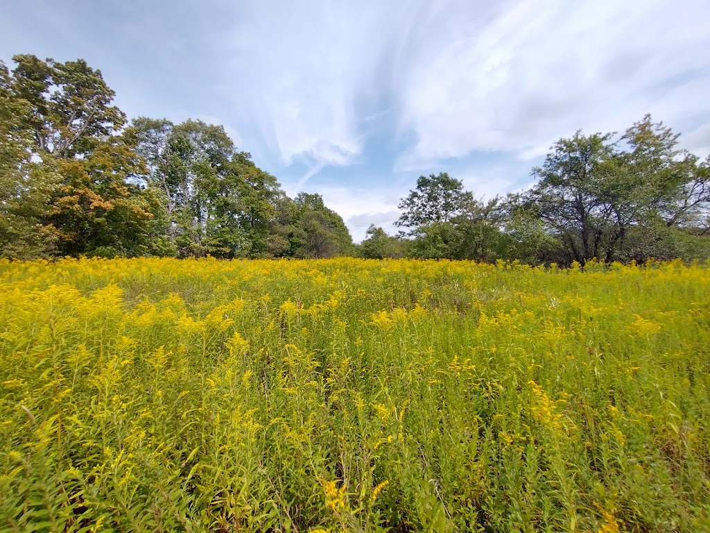 Oquaga Creek State Park | 5995 Co Rd 20, Bainbridge, NY 13733 | Phone: (607) 467-4160