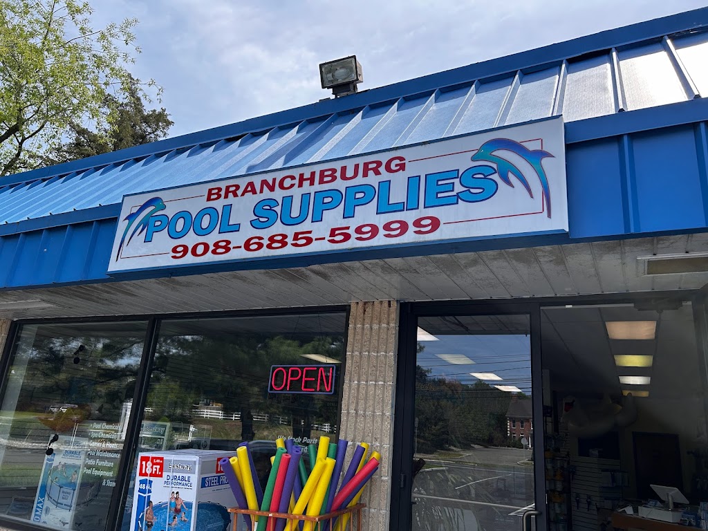 Branchburg Pool Supplies | 1035 US-202 North, Branchburg, NJ 08876 | Phone: (908) 685-5999