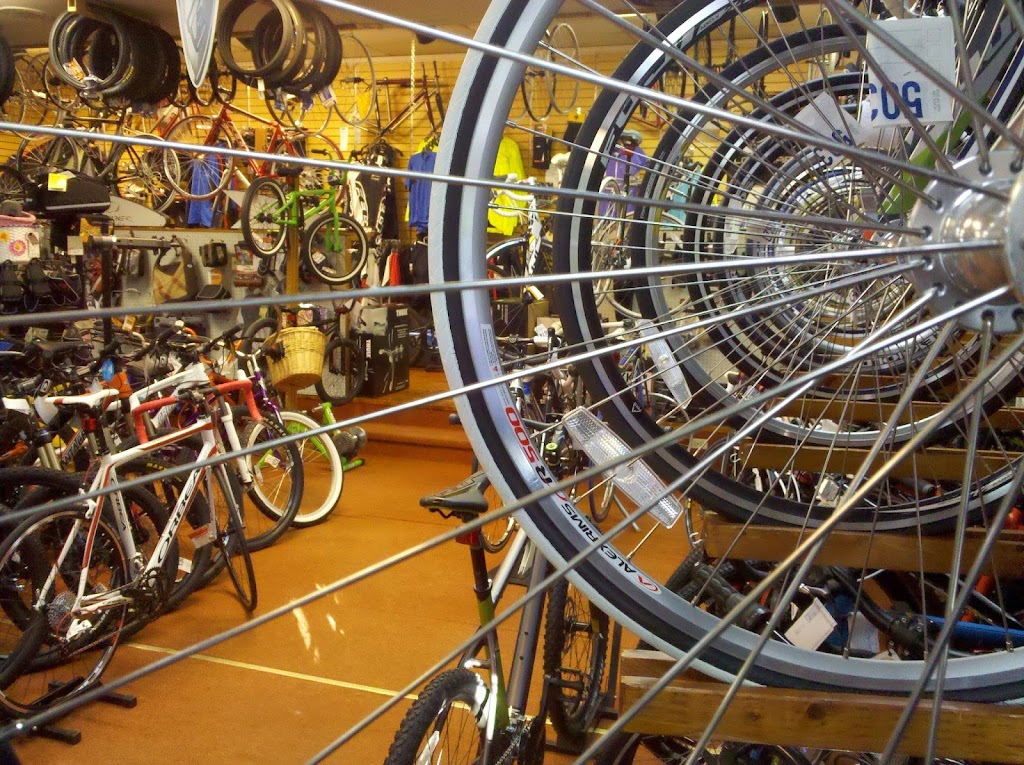 New Horizons Bikes | 55 Franklin St, Westfield, MA 01085 | Phone: (413) 562-5237