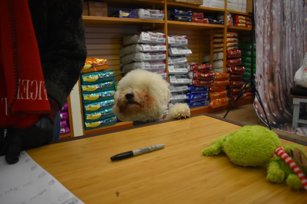NorthPoint Pets & Company | 943B S Main St, Cheshire, CT 06410 | Phone: (203) 271-0111