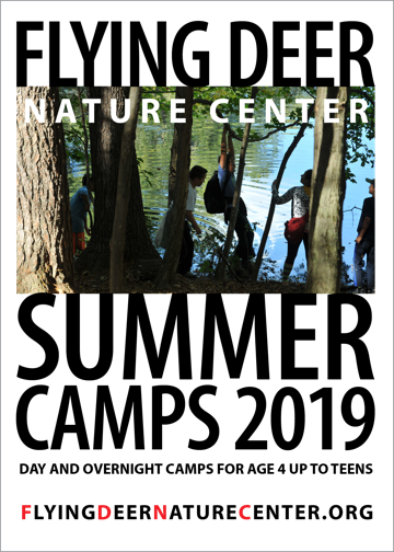 Flying Deer Nature Center | 122 Daley Rd, East Chatham, NY 12060 | Phone: (518) 392-6687