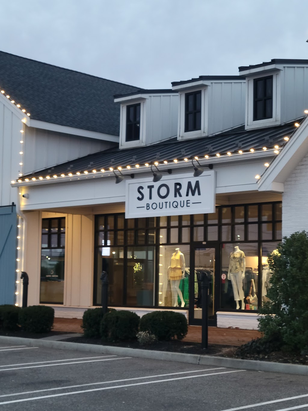 Storm boutique | 1493 Old Country Rd, Plainview, NY 11803 | Phone: (516) 962-9419