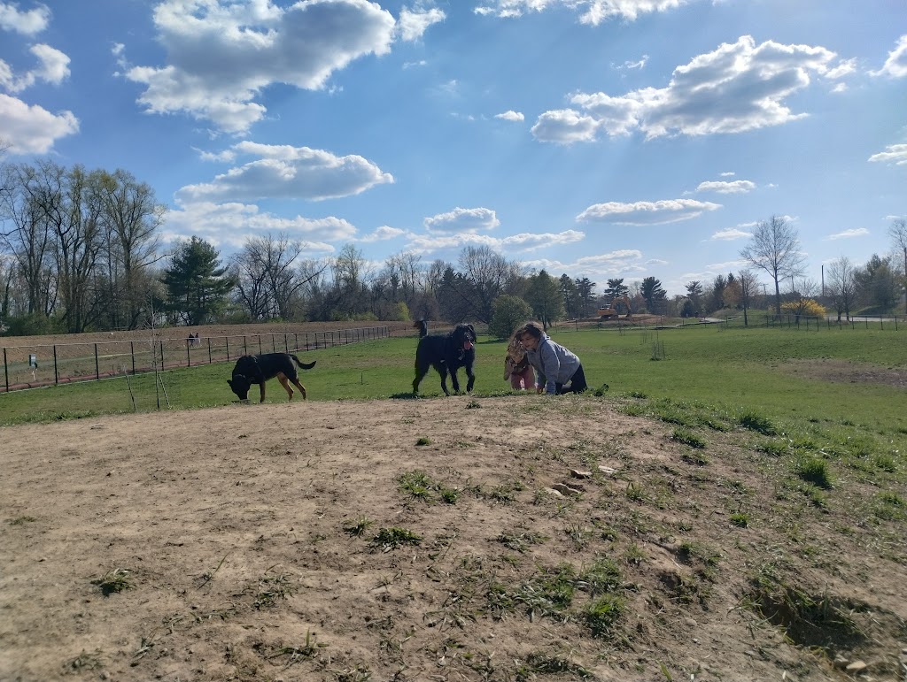 Twining Valley Dog Park | 4VV2+J6, Dresher, PA 19090 | Phone: (215) 643-1600