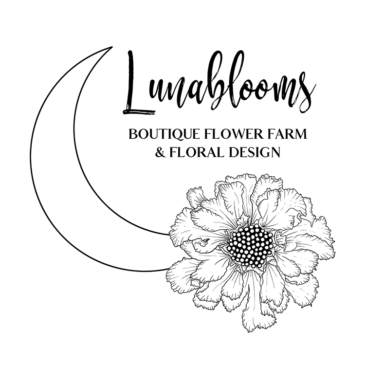 Lunablooms | 13 Grove St, Branford, CT 06405 | Phone: (203) 907-6228