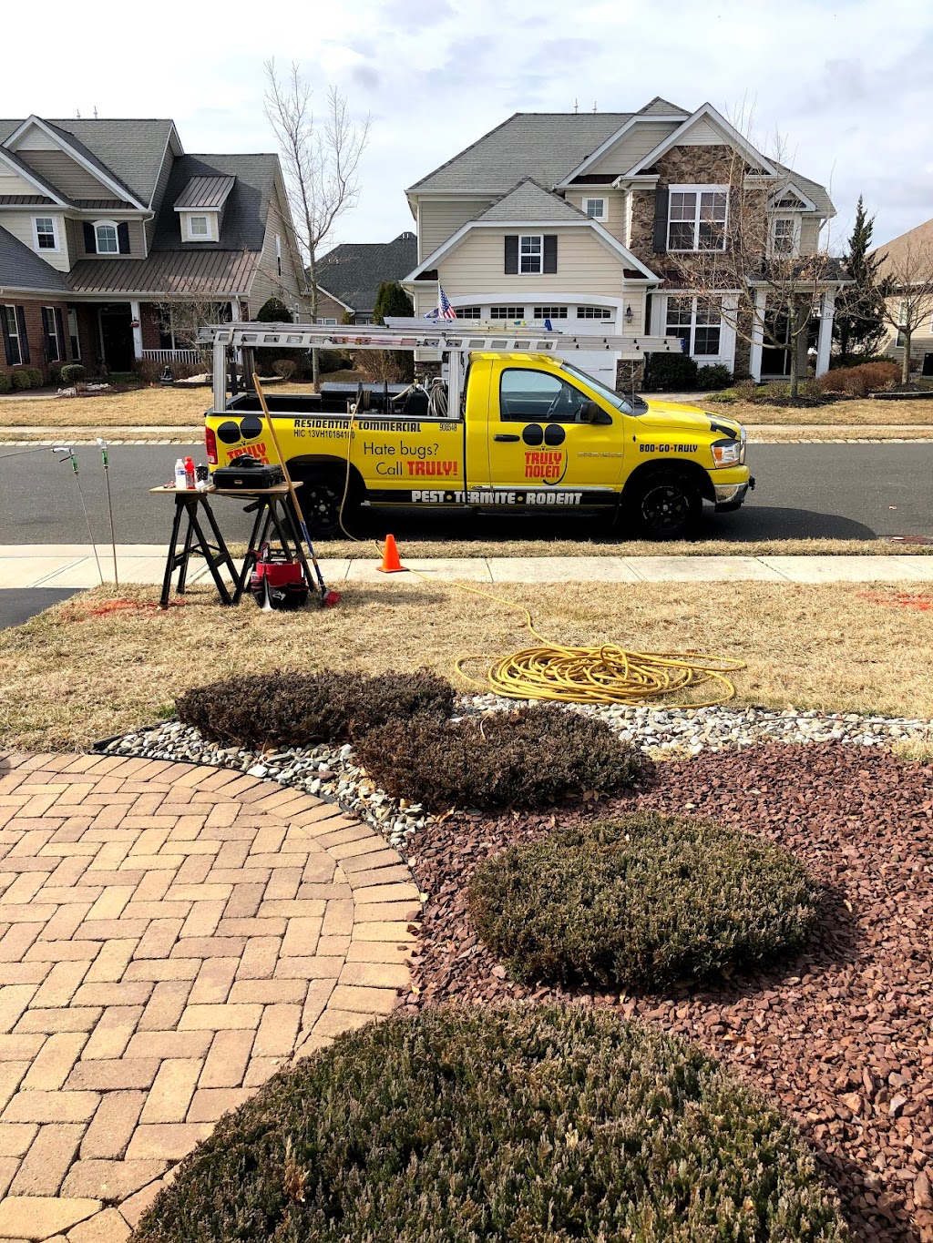Truly Nolen Pest and Termite Control - Monmouth County | 1301 Corlies Ave #6ac, Neptune City, NJ 07753 | Phone: (732) 361-5566