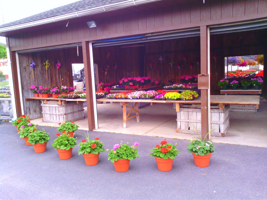 Raubs Florist & Greenhouses | 105 Industrial Drive N, Easton, PA 18042 | Phone: (610) 250-8795