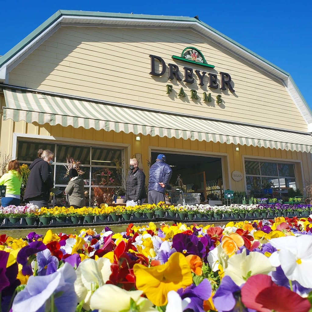 Dreyer Farms | 831 Springfield Ave, Cranford, NJ 07016 | Phone: (908) 276-1290