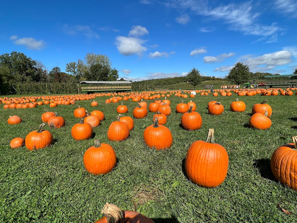 DuBois Farms | 209 Perkinsville Rd, Highland, NY 12528 | Phone: (845) 795-4037