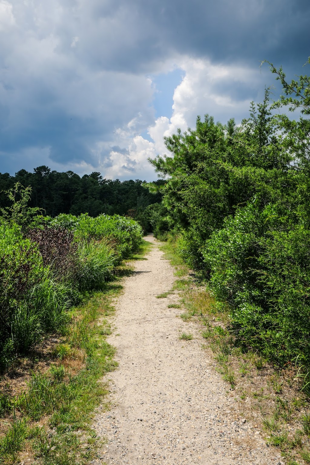 Cloverdale Farm Nature Center | 34 Cloverdale Rd, Barnegat, NJ 08005 | Phone: (609) 607-1861