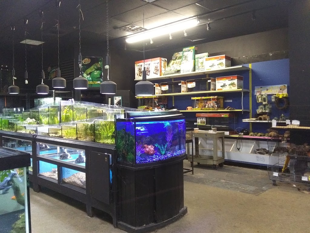 Captain Nemos Aquarium Superstore | 2876 Dekalb Pike, Norristown, PA 19401 | Phone: (610) 239-1645