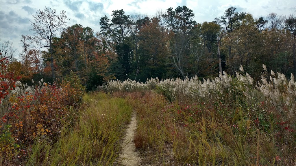 Beaver Swamp Fish and Wildlife Management Area | 116 Swainton Goshen Rd, Cape May Court House, NJ 08210 | Phone: (609) 465-8721