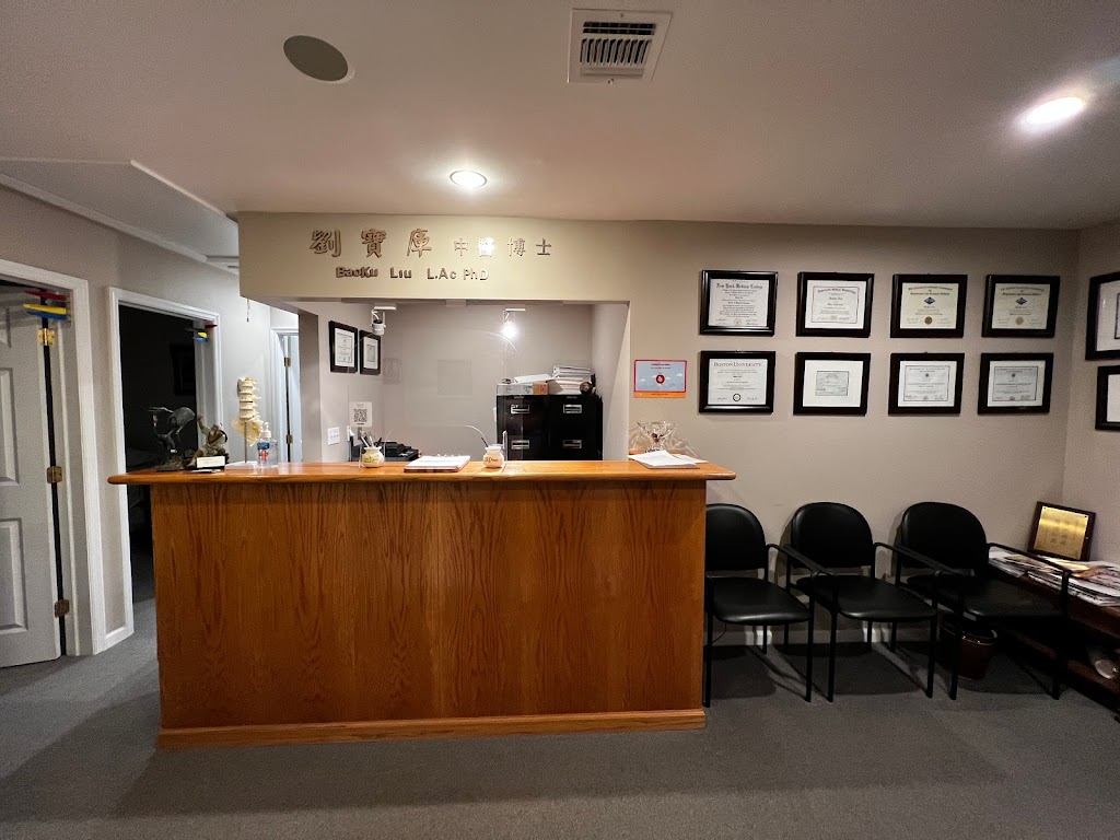 Scar Tissue Acupuncture | 1976 Lakeville Rd, North New Hyde Park, NY 11040 | Phone: (212) 397-8988