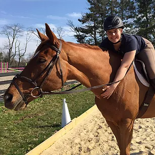 HM Equestrian & Sport Horse | 43 Van Sant Rd, New Hope, PA 18938 | Phone: (215) 666-2156