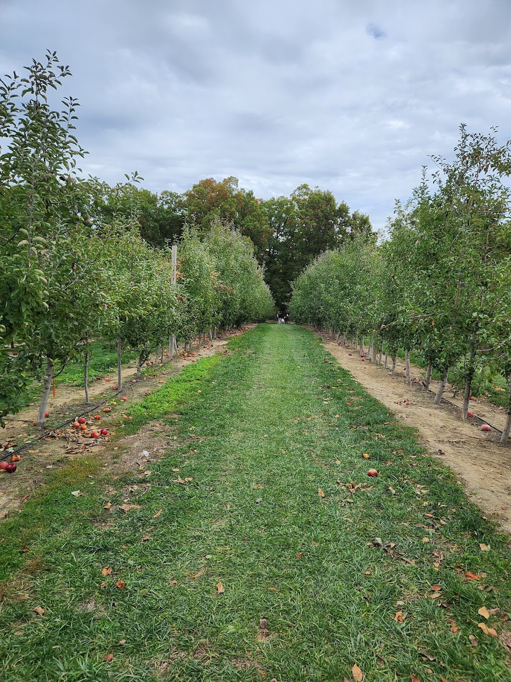 Giamarese Farm & Orchards | 155 Fresh Ponds Rd, East Brunswick, NJ 08816 | Phone: (732) 821-9494
