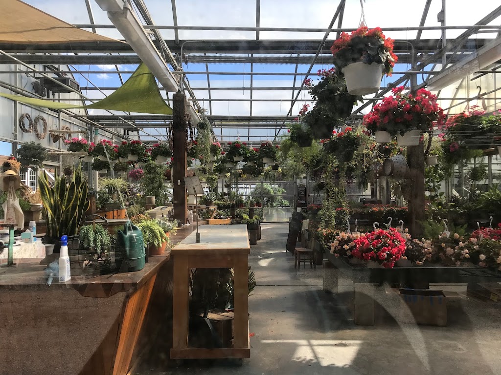 Parrinos Greenhouses Garden | 178 Charles Colman Blvd, Pawling, NY 12564 | Phone: (845) 855-5415